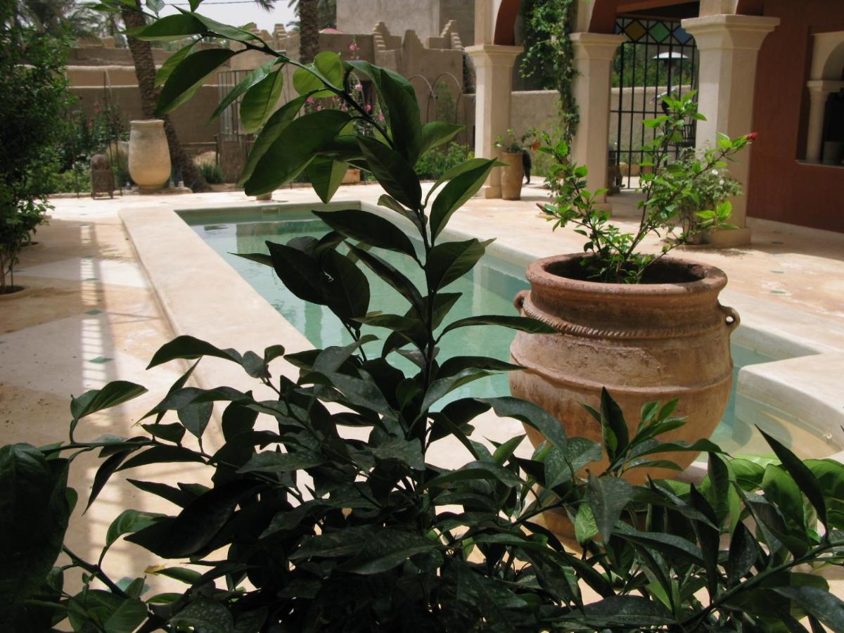 Riad Chant D'Etoiles Tadighoust El Hara Buitenkant foto