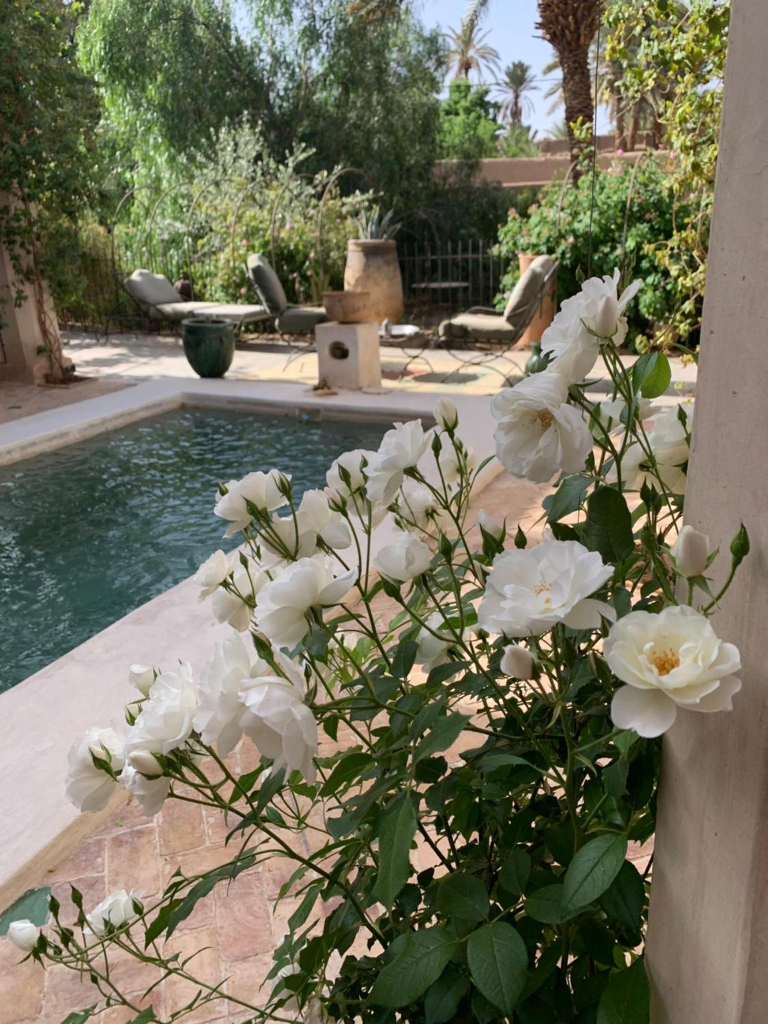 Riad Chant D'Etoiles Tadighoust El Hara Buitenkant foto