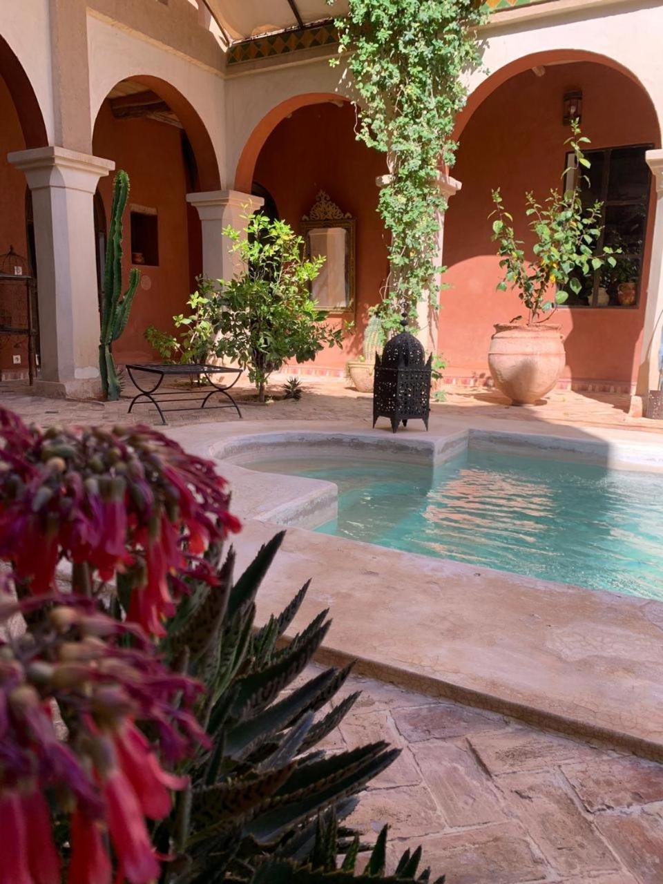 Riad Chant D'Etoiles Tadighoust El Hara Buitenkant foto
